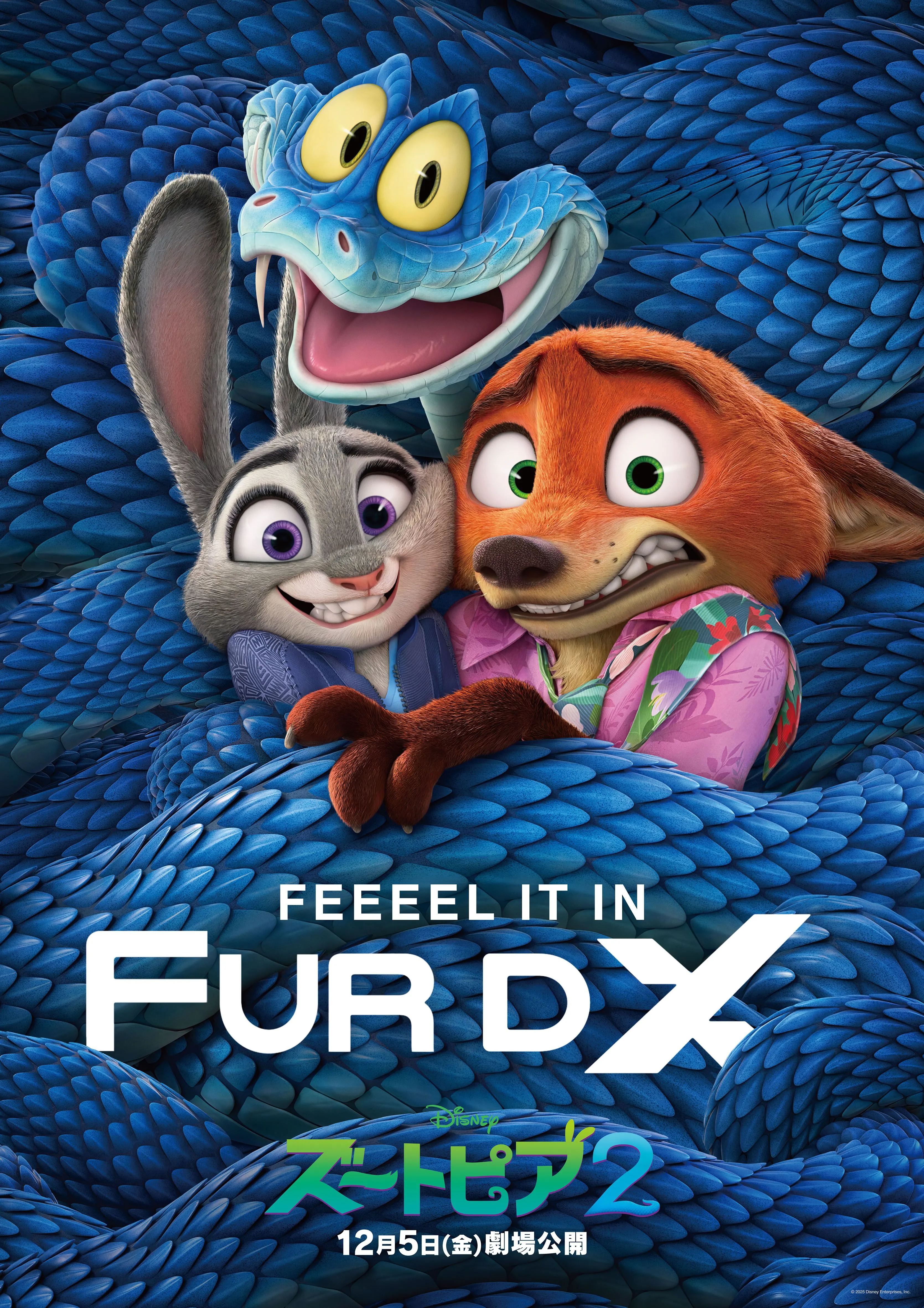 ニュース - 福山