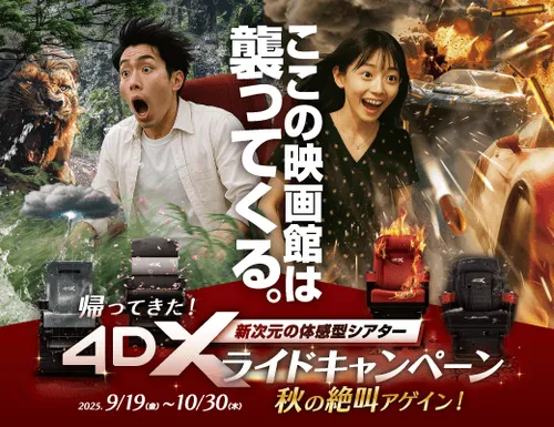 映画まとめ売り　③ ハイロー』シリーズ最新作！ 待望の『ザワ』続編『HiGH&LOW THE